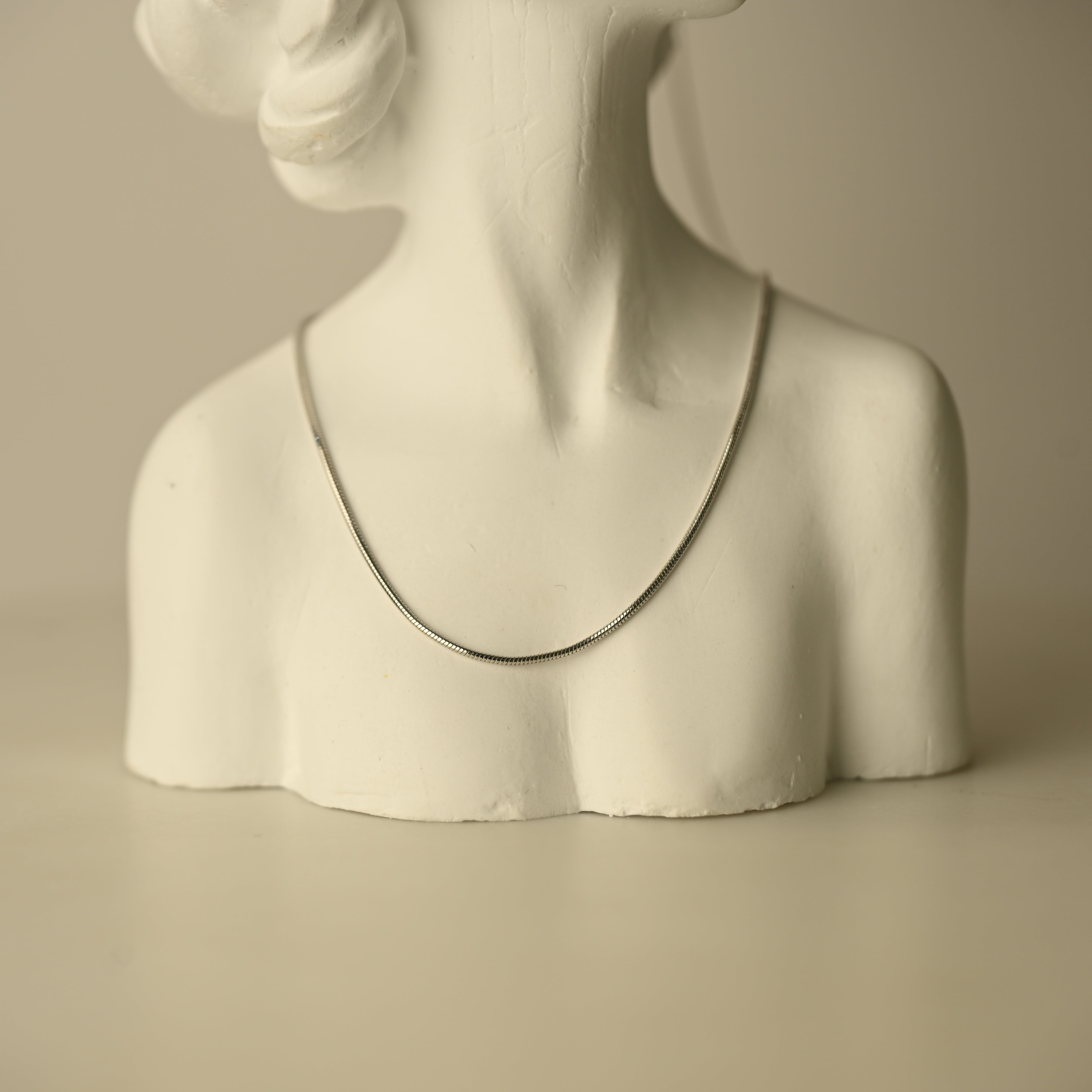 Classic Silver Snake Chain Necklace